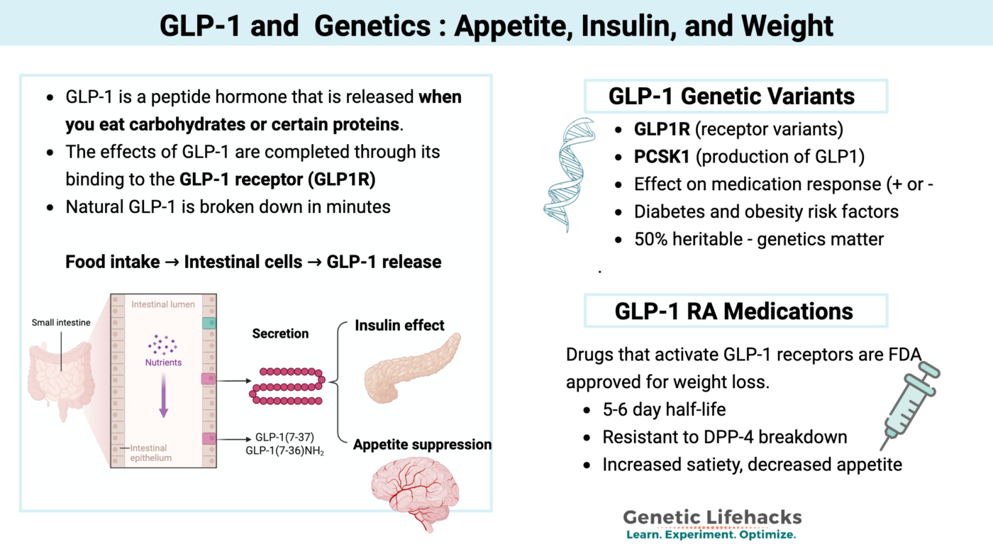 How GLP-1 Medications Affect Hunger and Fullness