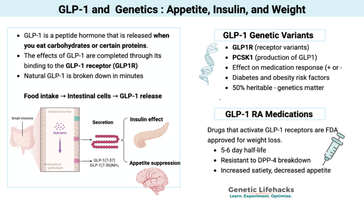 How GLP-1 Medications Affect Hunger and Fullness